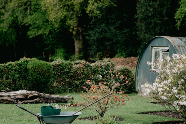 Tuin & Buiten collectie