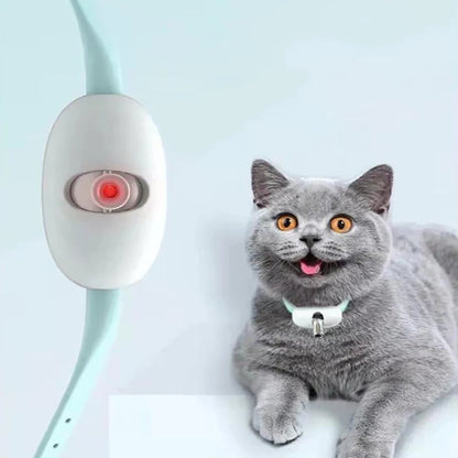 Rechargeable interactive laser collar for cats with USB charging for endless fun
