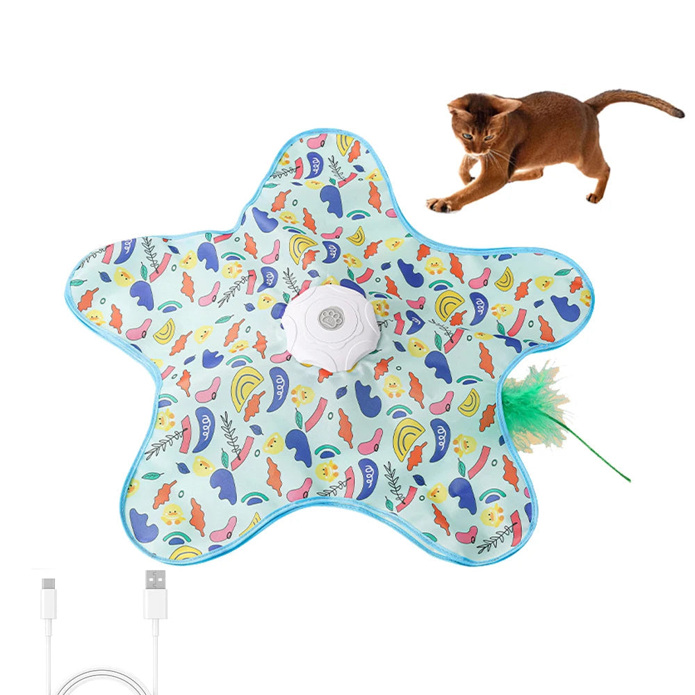 Autonomous Interactive Hide-and-Seek Cat Toy