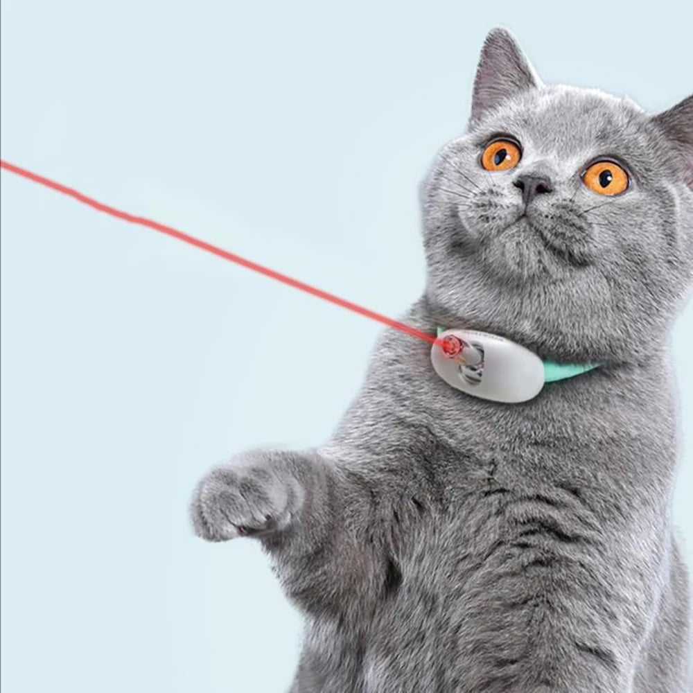 Rechargeable interactive laser collar for cats with USB charging for endless fun