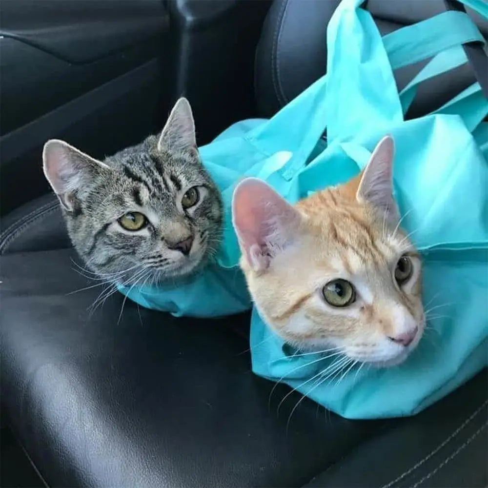 Scratch-Resistant Cat Travel Carrier - Safe and Comfortable Journeys