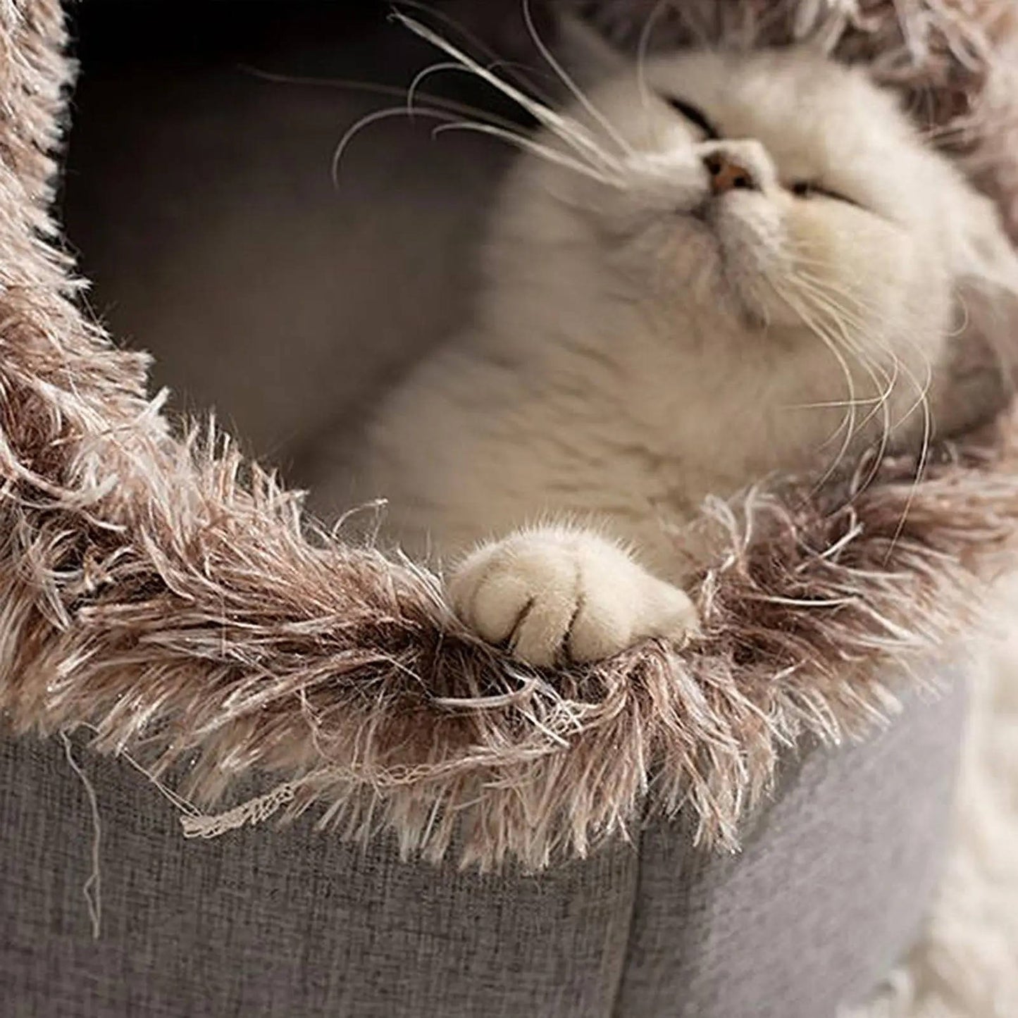 Knus kattenbed voor de winter