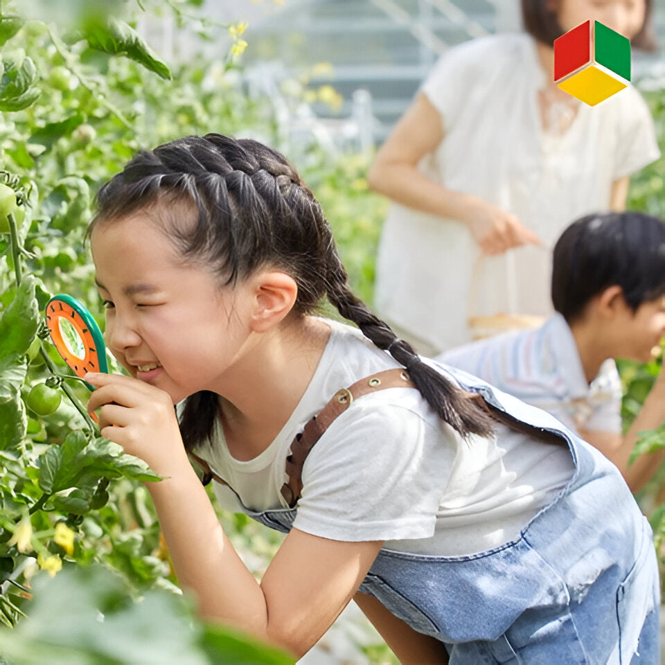 Children's insect discovery kit